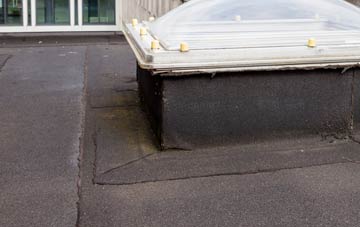 disadvantages of Tegryn flat roofs